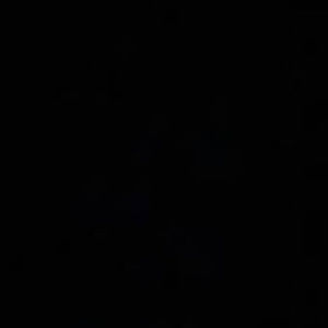 Meet your Posher, Dylan